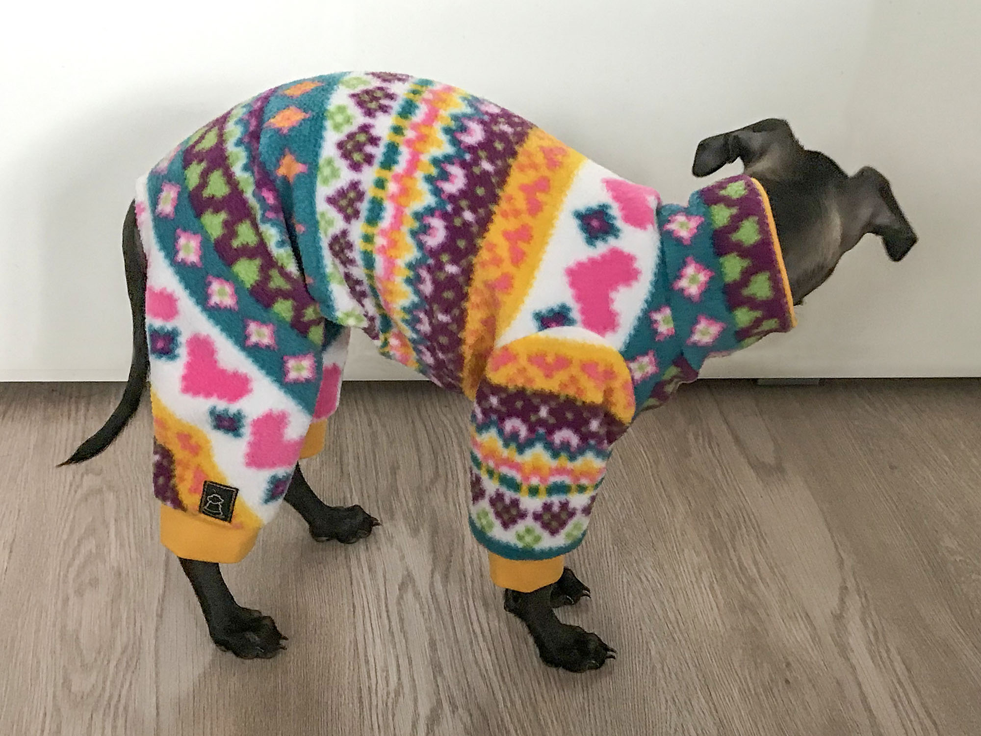 Dolce Basic Puppy 2