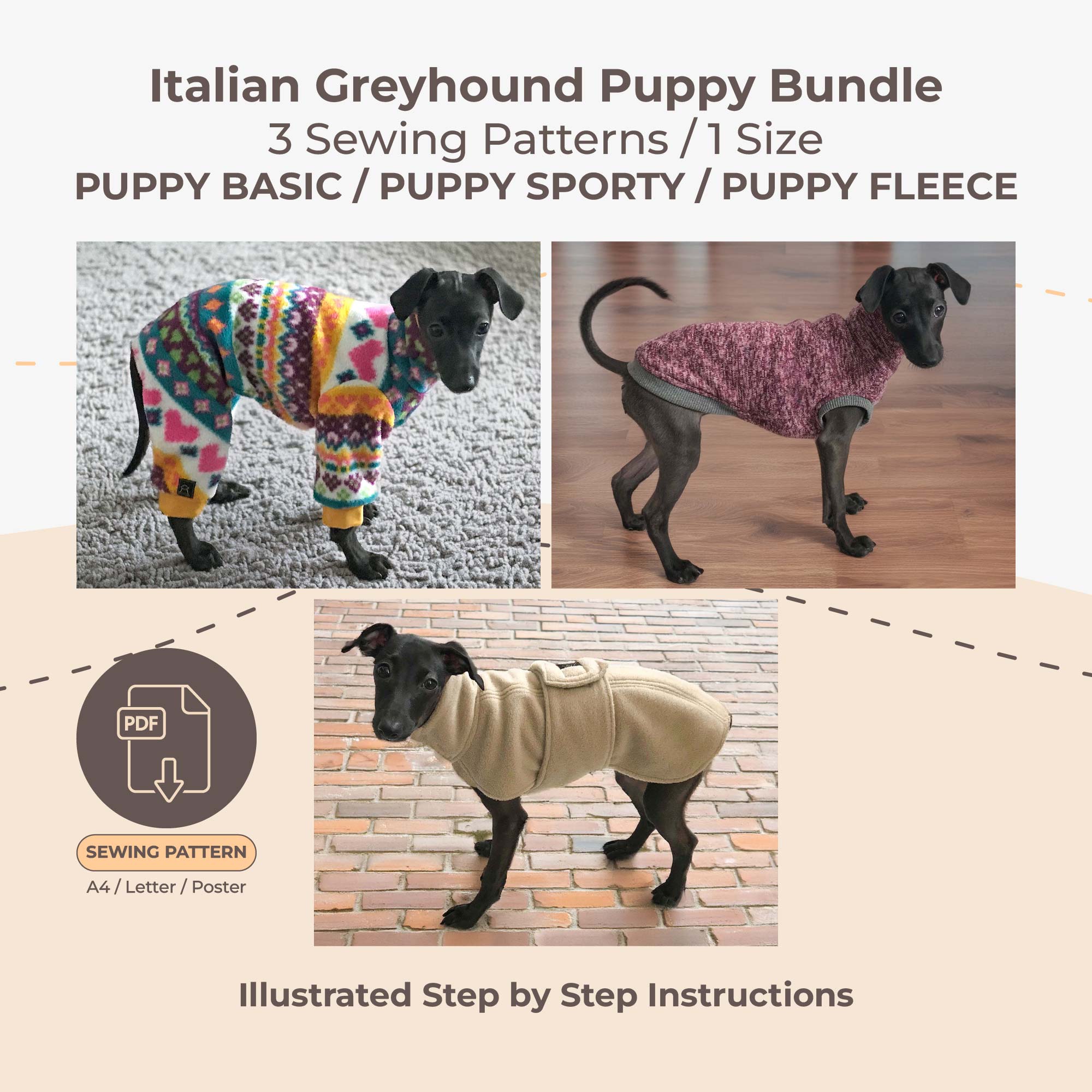 Italian Greyhound Puppy 3 in 1