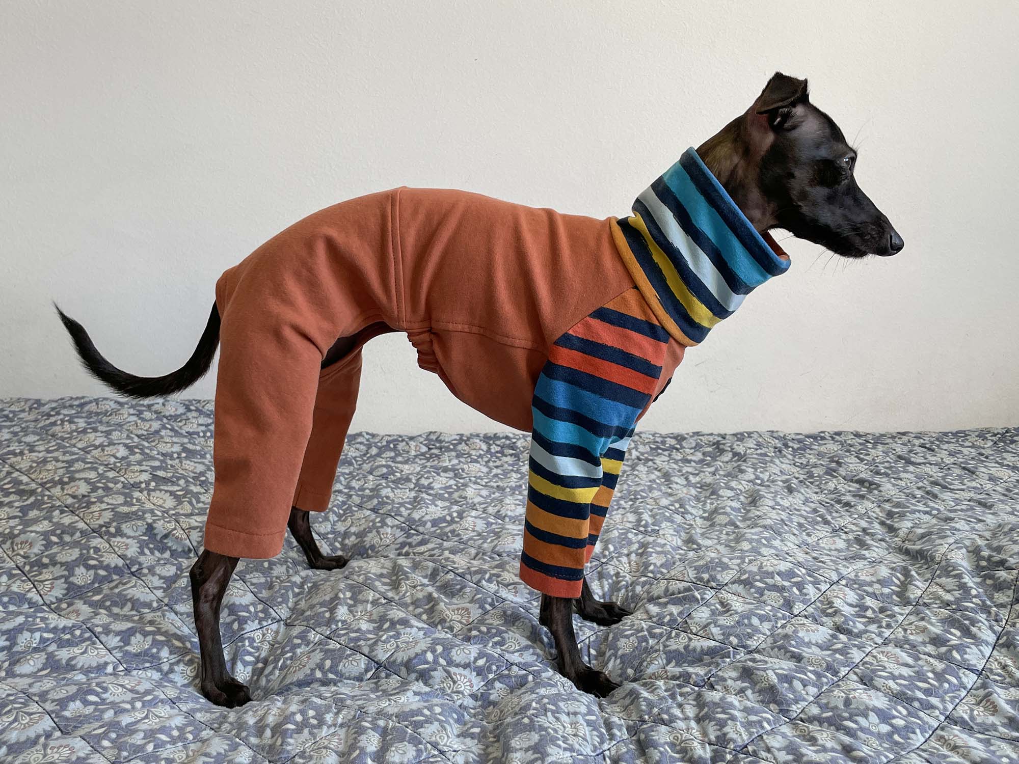 Nikki Raglan Pajamas_1