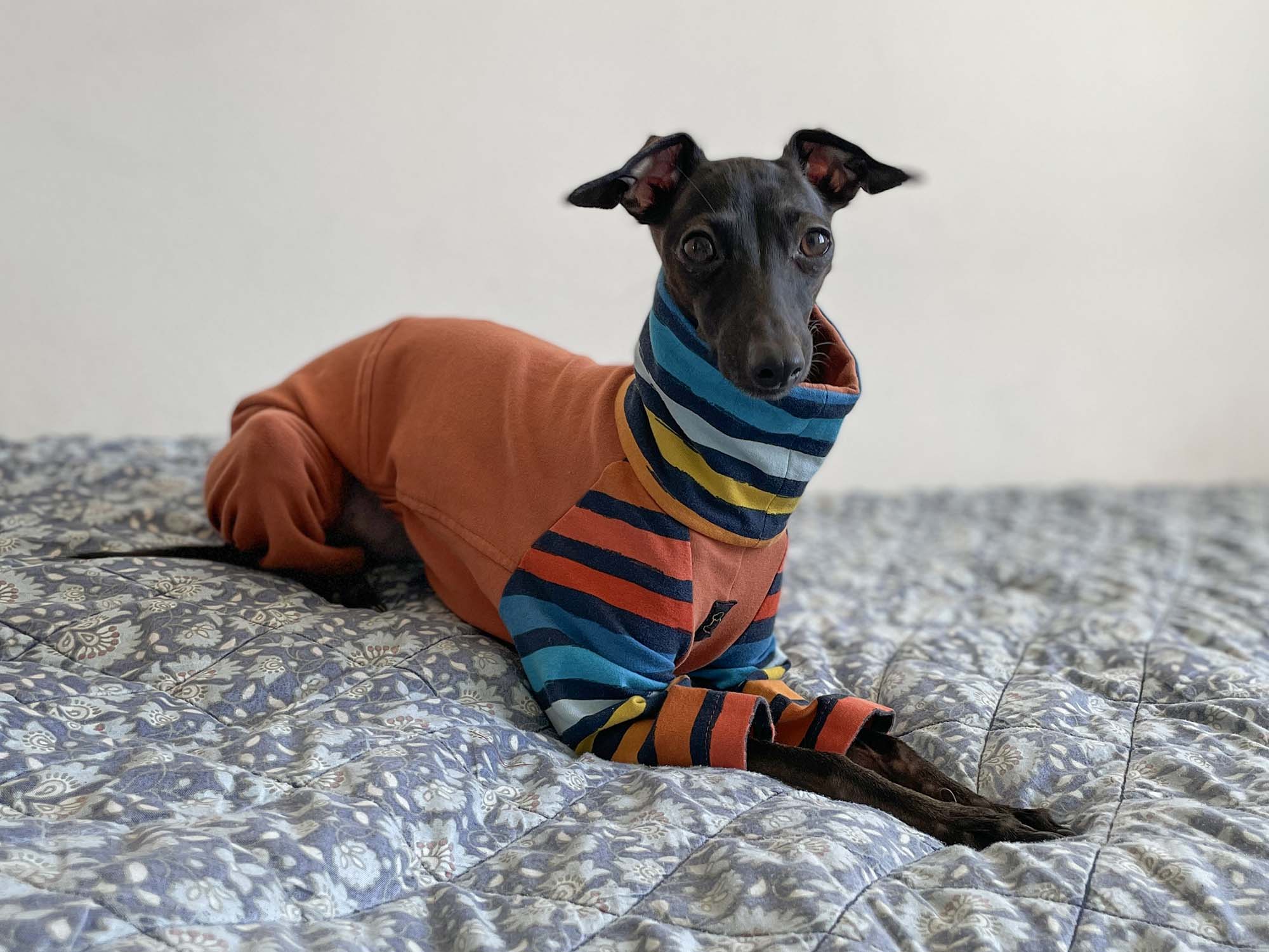 Nikki Raglan Pajamas_6