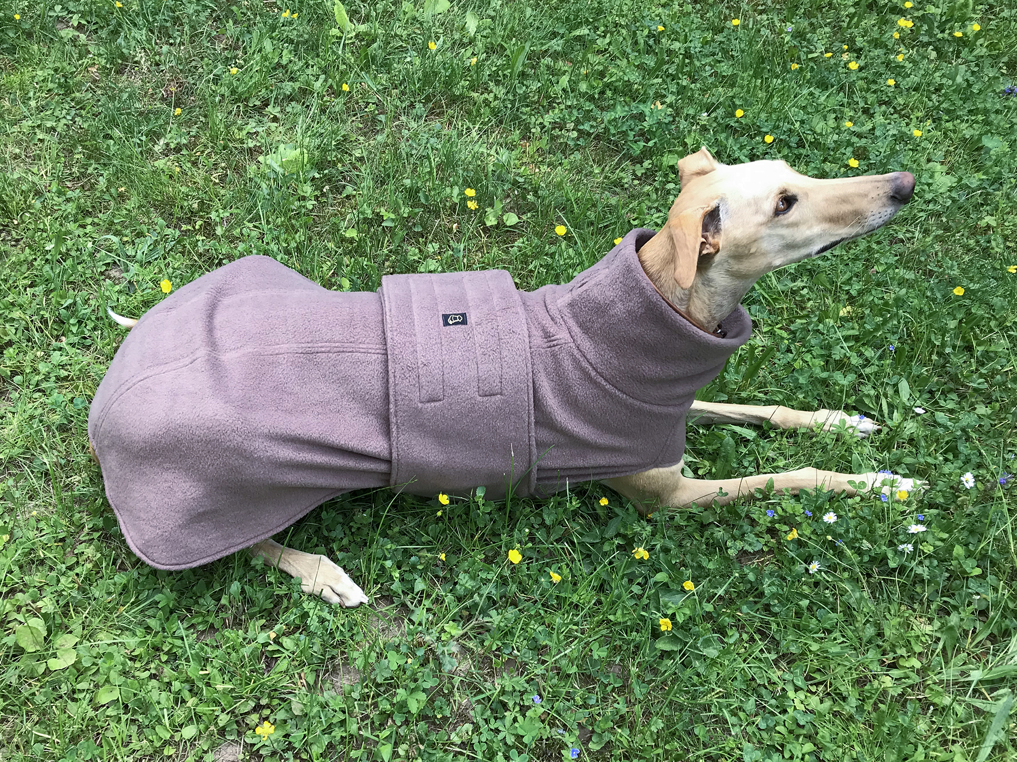 Oxy Coat 1_2000x1500