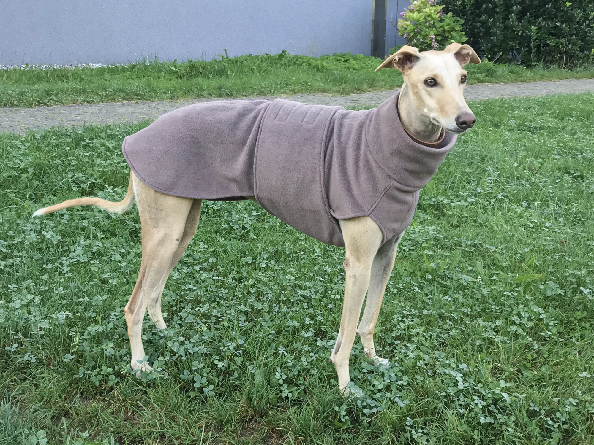 Oxy Coat 2_2000x1500