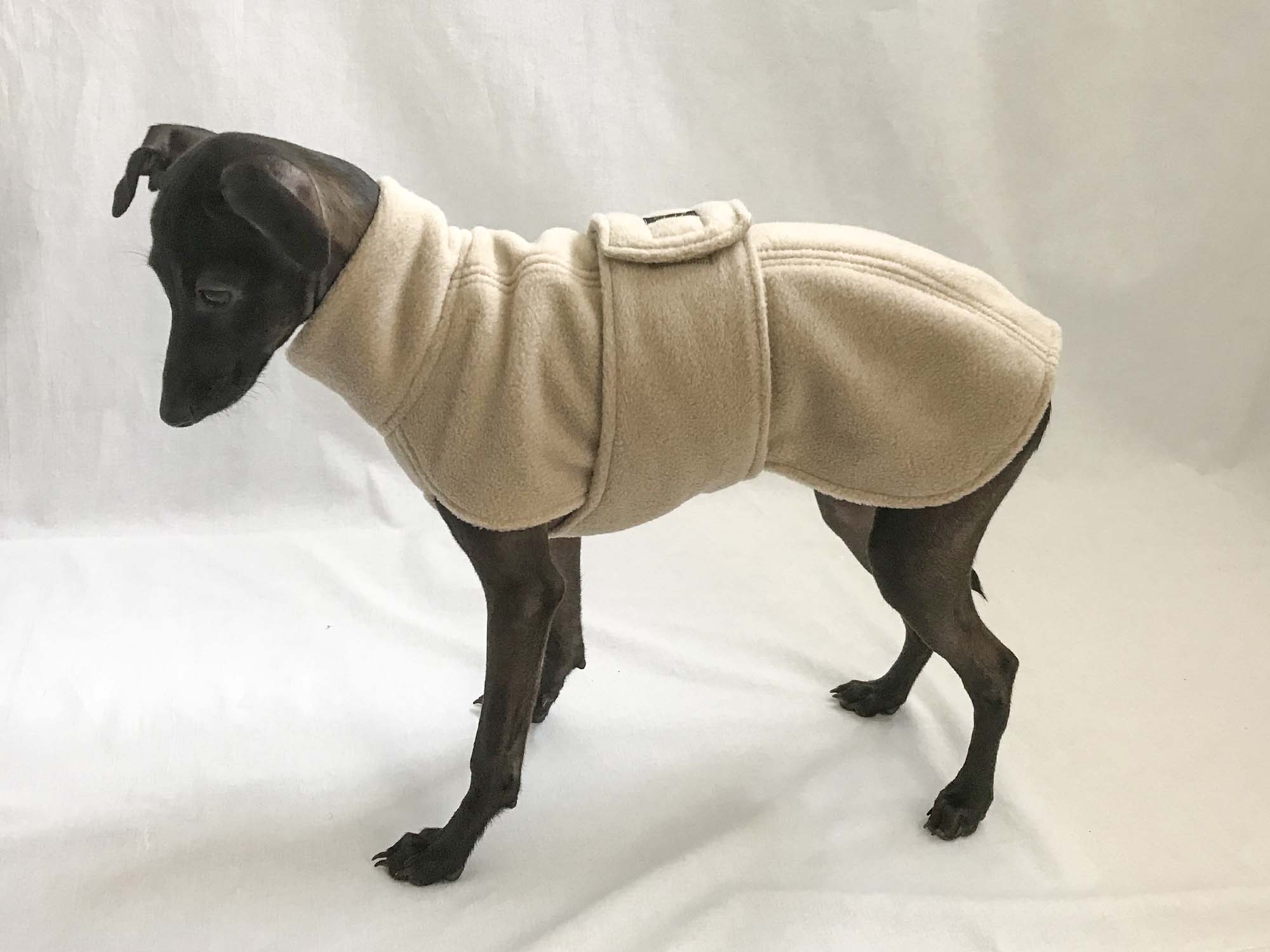Puppy Coat_2